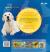 Vom Welpen zum Hund