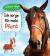 Ich sorge für mein Pferd