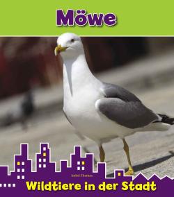 Möwe