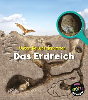 Das Erdreich