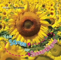 Vom Samen zur Sonnenblume