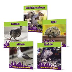 Wildtiere in der Stadt