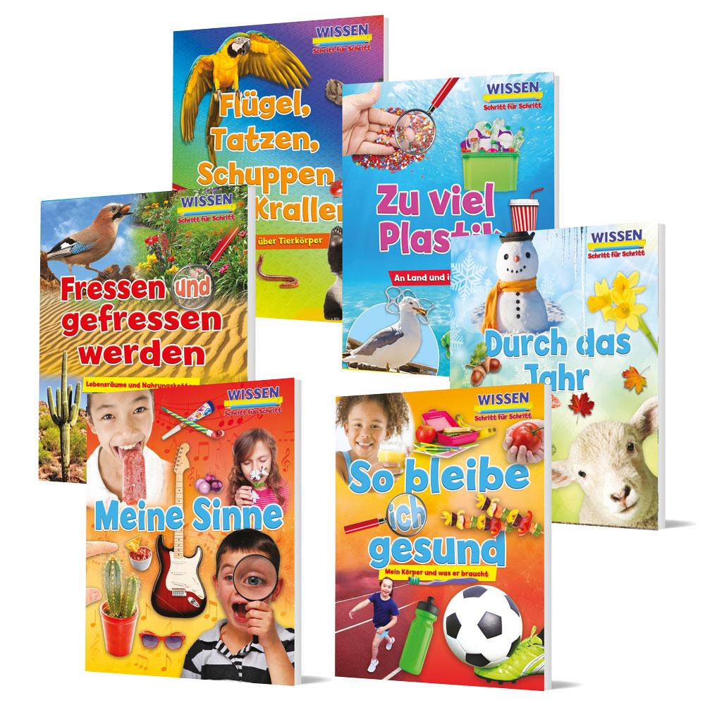 Wissen - Schritt für Schritt